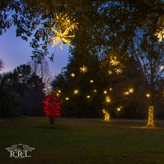 images/christmas/CL-W-2.jpg