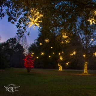 images/christmas/CL-W-3.jpg