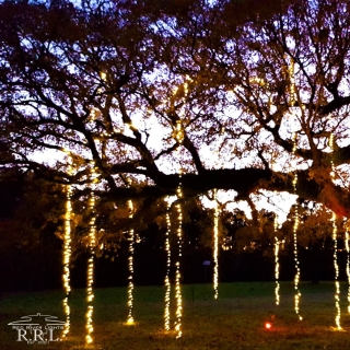 images/christmas/CL-W-4.jpg