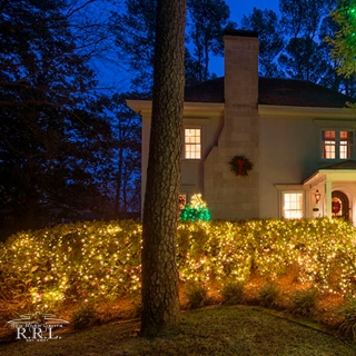 images/christmas/CL-W-5.jpg