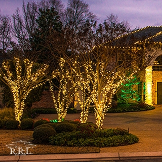 images/christmas/CL-W-9.jpg